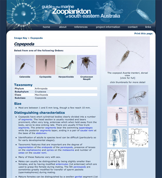 Guide to the Marine Zooplankton of South Eastern Australia